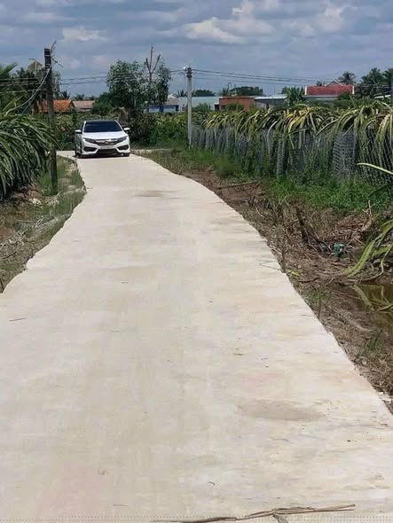 Đất nền An Lục Long, Châu Thành, Long An 320m² giá 780 triệu - Cơ hội đầu tư hấp dẫn!