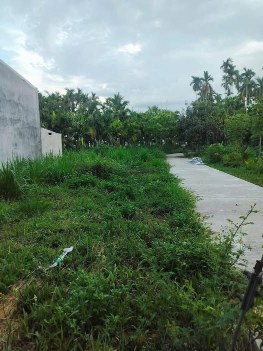 Đất nền hẻm 262 Hoàng Hoa Thám 125m² giá 520 triệu - Cơ hội đầu tư tuyệt vời!