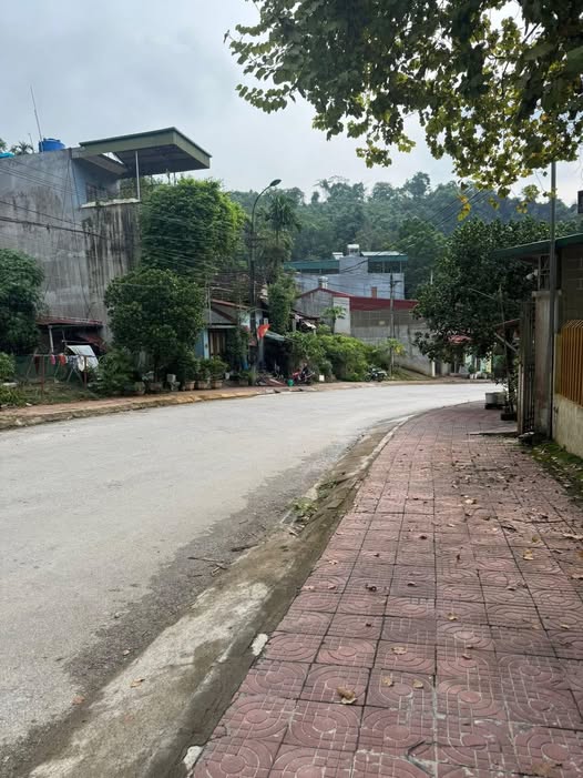 Đất thổ cư Tổ 4 Quang Trung 88m² giá 950 triệu - Sổ hồng chính chủ!