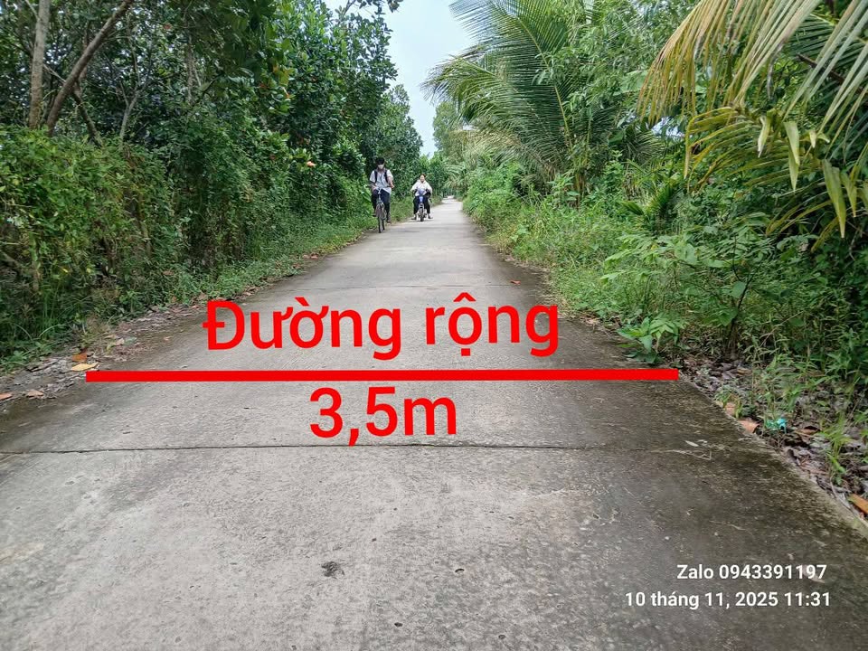 Đất nông nghiệp 20.901,7m² tại xã Thạnh Đông, An Giang giá chỉ 5,35 tỷ - Cơ hội đầu tư tuyệt vời!