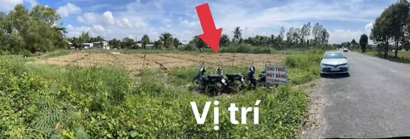 Đất mặt tiền Tỉnh Lộ 919, xã Thới Lai, 3259m² - Đầu tư sinh lời tốt!