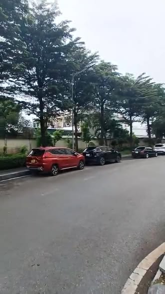 Đất nền đường Nguyễn Cửu Phú Tân Tạo 80m² giá 3.95 tỷ - Sổ hồng chính chủ