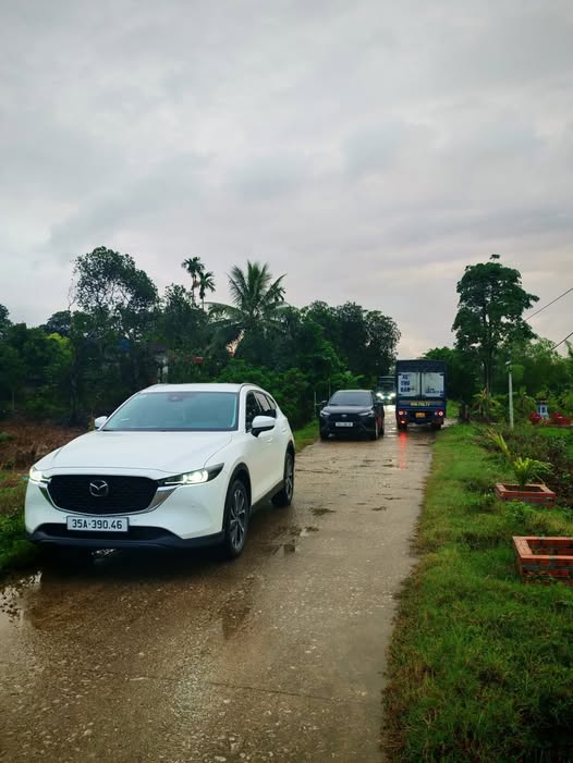 Đất thổ cư Gia Sơn Nho Quan 250m² giá 600 triệu - Cơ hội đầu tư hiếm có!