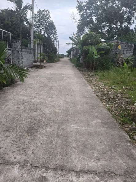 Đất Nền Gia Sơn Nho Quan 115m² giá 400 triệu - Sổ hồng chính chủ, gần cổng làng Hạnh Phúc!