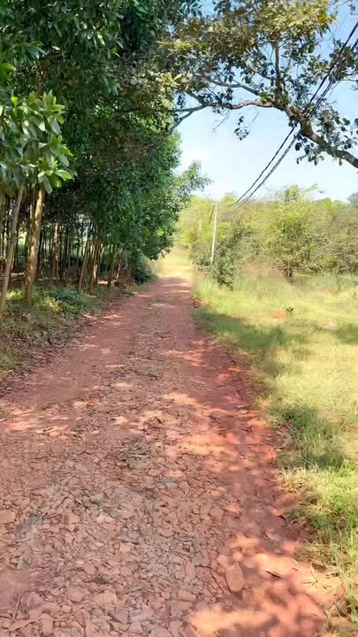 Đất nền Xuân Tâm 1150m² giá chỉ 600 triệu - Đường ô tô vào tận nơi!