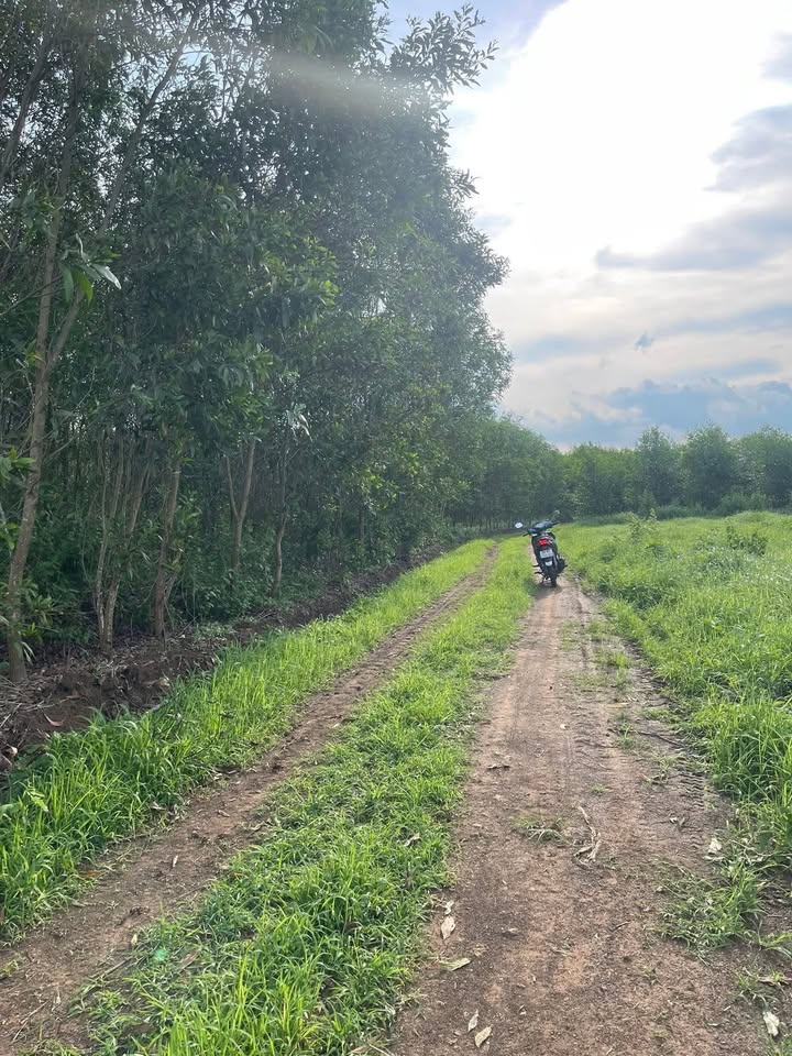 Đất nền đẹp Xuân Lộc 568m² giá chỉ 200 triệu - Sổ riêng, mặt tiền 14.3m!