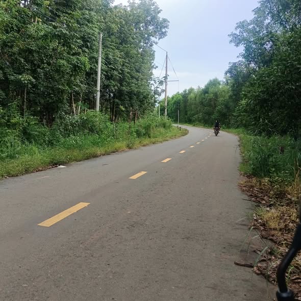 Farm đất 30.000m² tại Lộc Ninh, Bình Phước - Đầu tư sinh lợi hấp dẫn!