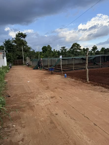 Đất nền Tân Lập, Buôn Ma Thuột 125m² giá 1.35 tỷ - Khu dân cư đông đúc!