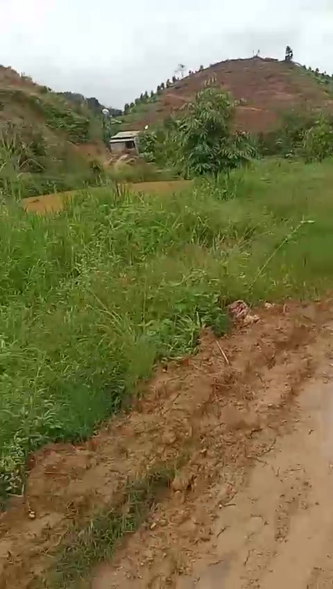 Đất nền 10000m² tại Đạ Kho, Đạ Tẻh chỉ 470 triệu - Đầu tư sinh lời ngay!