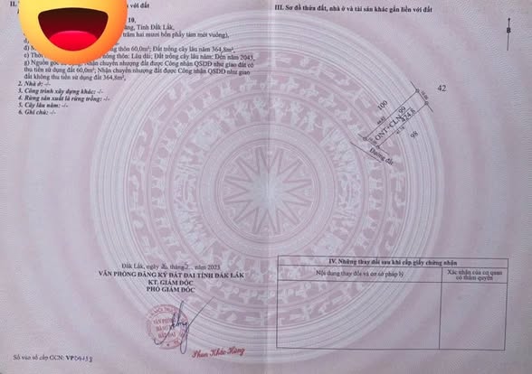 Đất thổ cư 60m² tại thôn Yên Khánh, Ea Tân - Giá chỉ 250 triệu!