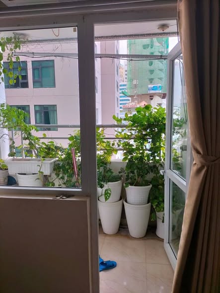 Căn hộ chung cư Mường Thanh Oceanus Nha Trang 135m² giá 17 triệu - Căn góc view biển hoàn hảo!