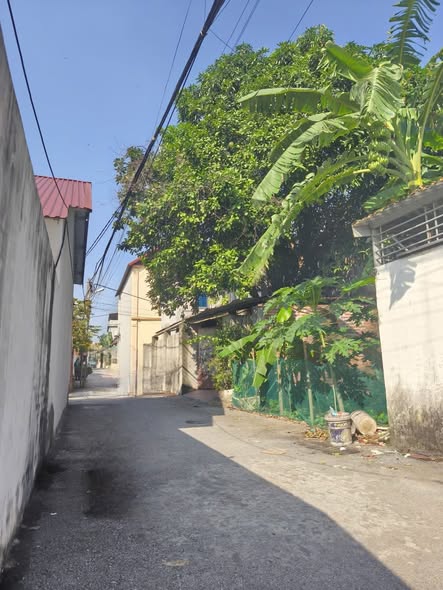 Đất nền Hội Hợp Vĩnh Yên 91m² giá 1.9 tỷ - Đường thông thoáng, tiện ích đầy đủ!