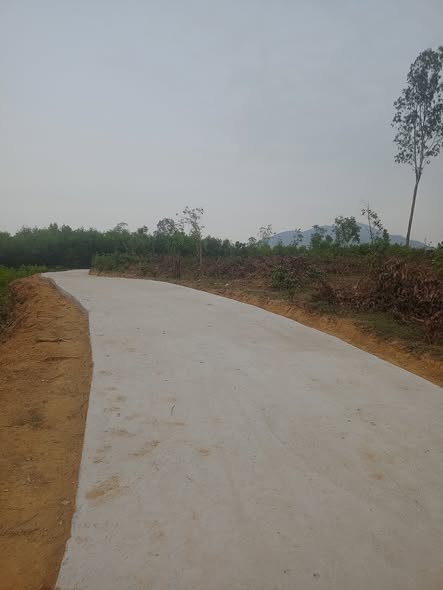 Đất vườn 6000m² tại Hòa Khánh, Đà Nẵng - View cánh đồng mát mẻ!