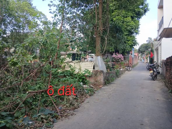 Đất thổ cư đường Nguyễn Văn Linh, phường Xuân Hòa, 102.7m² - Giá đầu tư hấp dẫn!