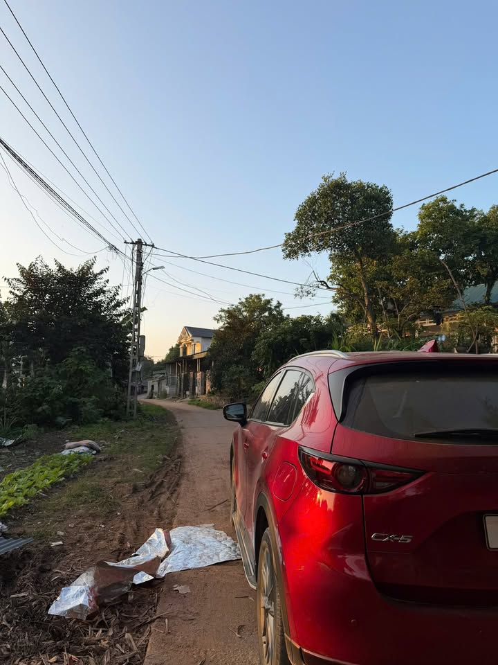 Đất thổ cư Phú Thọ 98m² giá chỉ 800 triệu - Đầu tư sinh lời ngay!