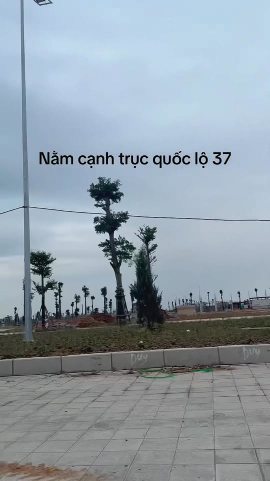 Đất nền khu đô thị mới Bích Động, Bắc Giang 30,1ha - Tiềm năng sinh lời bền vững!