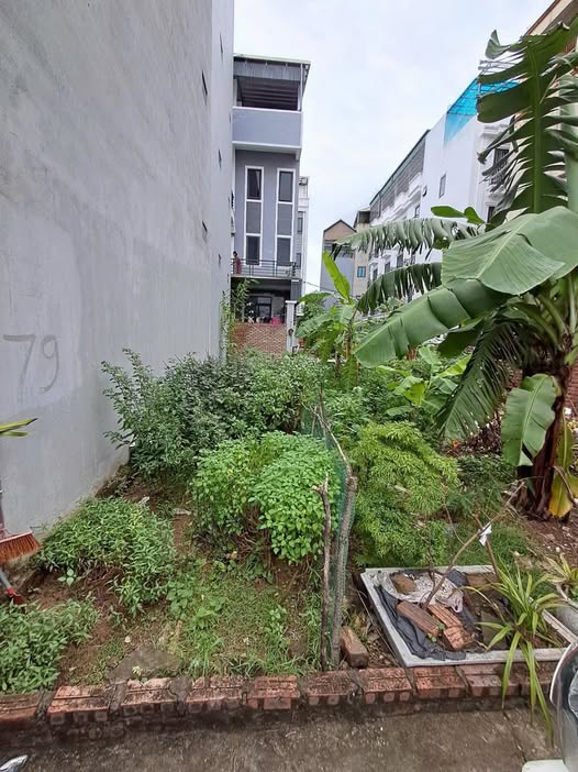 Đất Sen Hồ, Lệ Chi, Gia Lâm 46m² giá 2.58 tỷ - Sổ đỏ chính chủ, ô tô vào tận nơi!