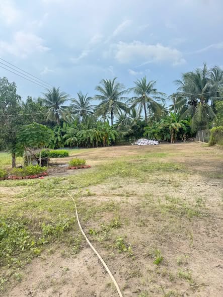 Đất vườn 4300m² xã Vĩnh Thành, Chợ Lách - Giá chỉ 2.15 tỷ, thương lượng chính chủ!