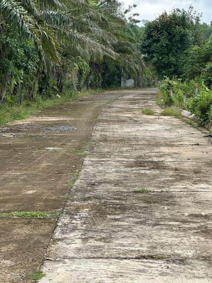 Đất nền Cửa Cạn Phú Quốc 500m² giá 1.5 tỷ - Đầu tư dài hạn tuyệt vời!