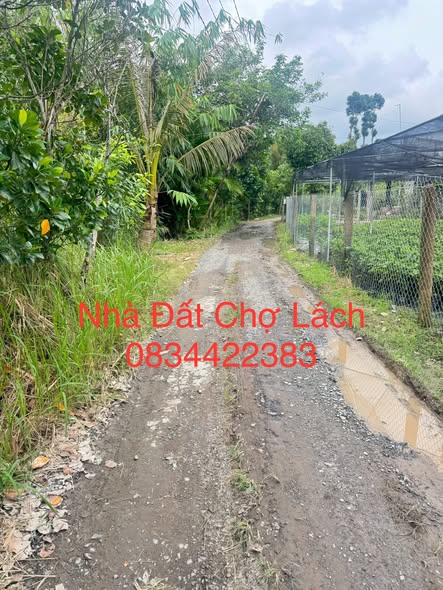 Đất nền Vĩnh Thành, Chợ Lách 5300m² giá 3.246 tỷ - Chính chủ bán gấp!