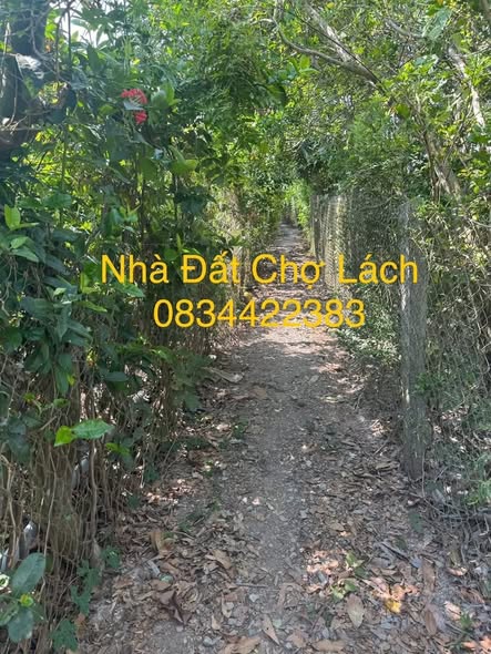 Đất vườn Sơn Định Chợ Lách 2104m² giá 1.3 tỷ - Mặt tiền rộng, giao thông thuận tiện!