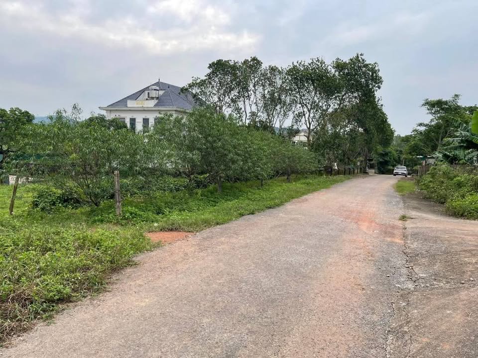 Đất nền lô góc 2 mặt tiền xã Nam Nghĩa 291m² - Cơ hội vàng đầu tư!