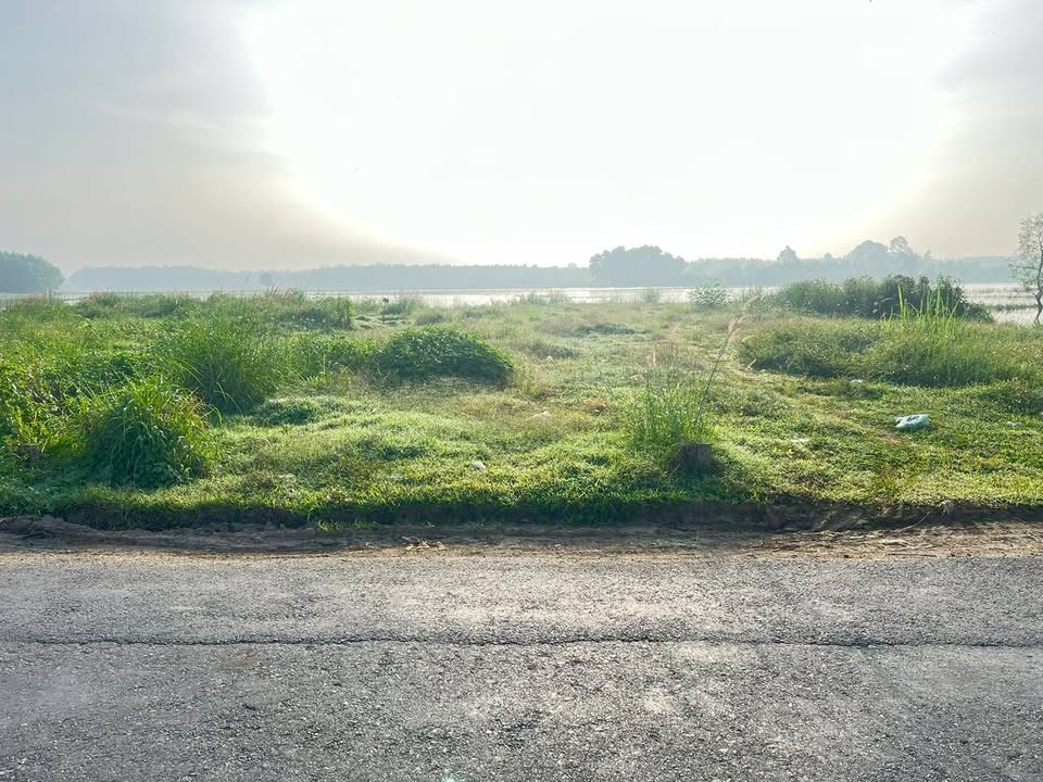 Đất nền Ấp Rộc, Gò Dầu 250m² giá chỉ 680 triệu - Tiềm năng đầu tư cao!