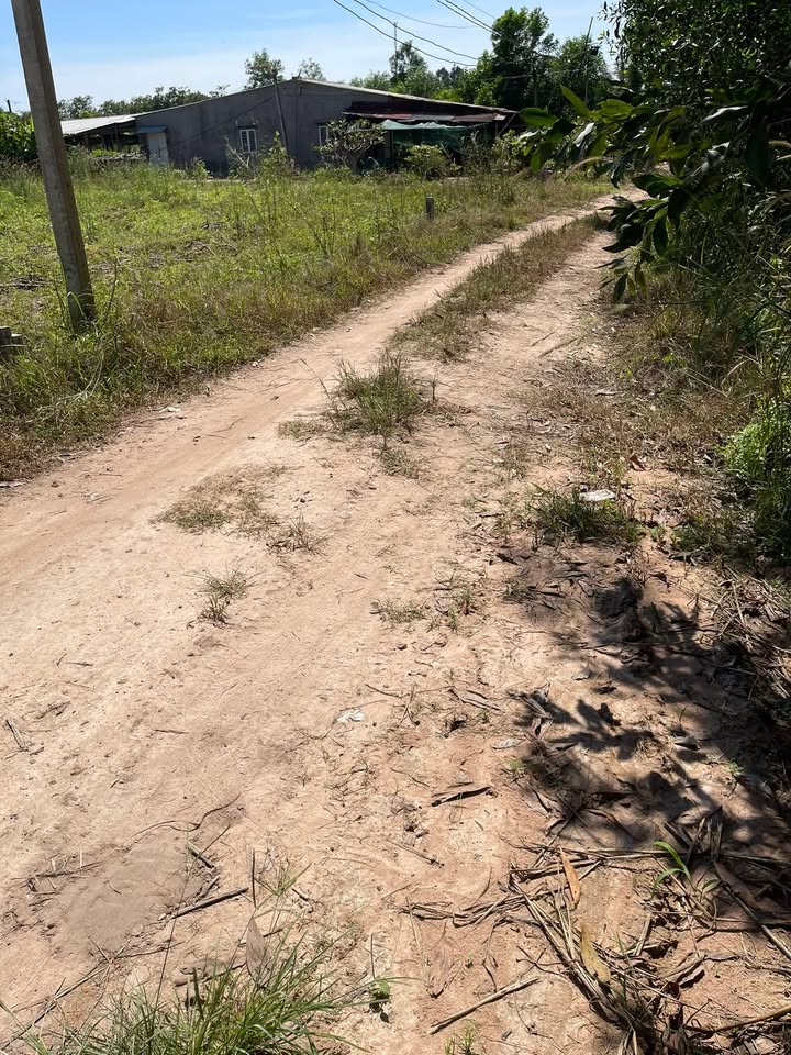 Đất nền Tân Biên Tây Ninh 520m² giá 200 triệu - Đầu tư sinh lời ngay!