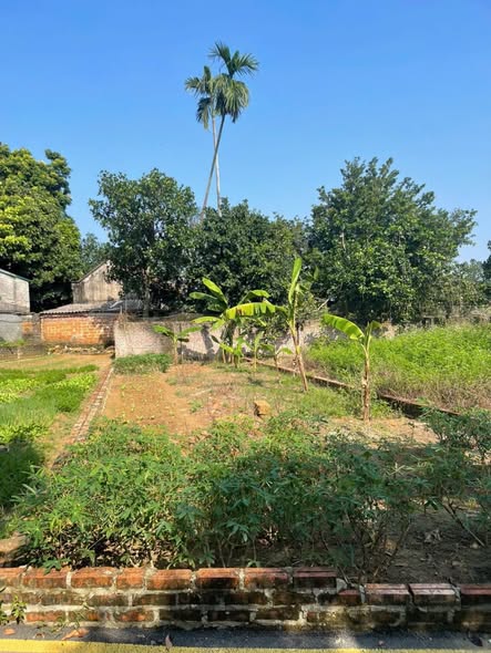 Bán đất Hòa Lạc 100m² giá 2.2 tỷ - Đầu tư sinh lời nhanh!