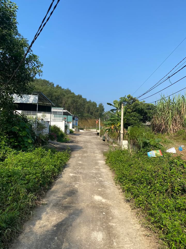 Đất nền Kim Nhãn 176m² - Gần ủy ban, giá thỏa thuận hấp dẫn!