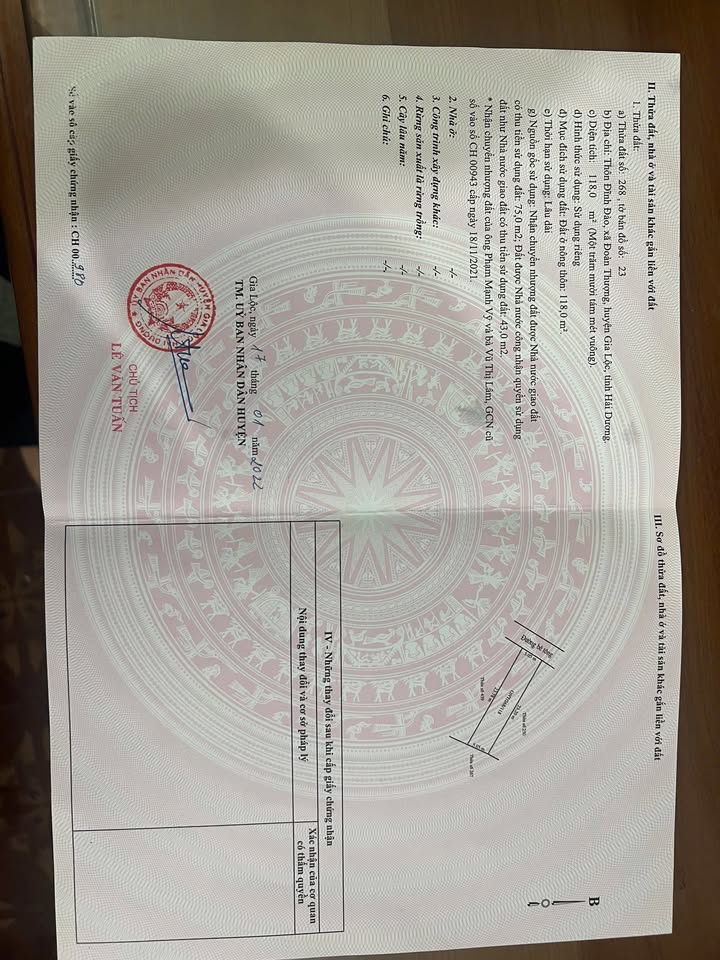 Đất thổ cư 118m² Thôn Đĩnh Đào, Hải Dương - Mặt tiền kinh doanh lý tưởng!