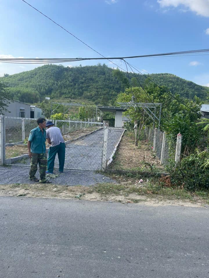 Đất mặt tiền đường nhựa Khánh Phú 232m² giá chỉ 1.399 tỷ - Cơ hội đầu tư tốt!