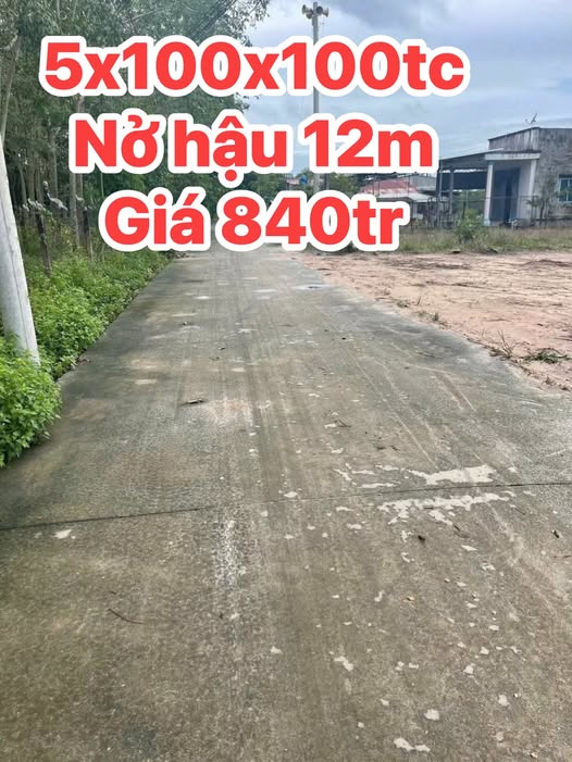 Đất nền Dầu Tiếng 500m² chỉ 800 triệu - Gần trường học Nguyễn Bỉnh Khiêm!