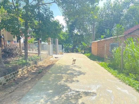 Đất thổ cư 1400m² tại thôn Konhring, xã Đăk Blà, giá 800 triệu - Đầu tư tiềm năng!