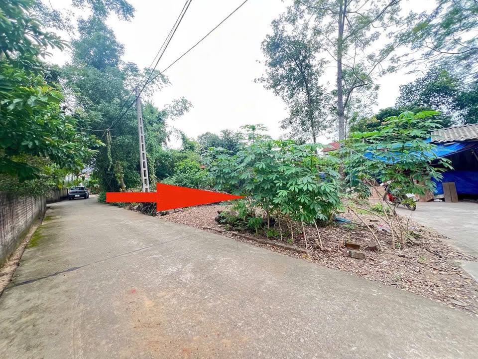 Đất nền Văn Quán Lập Thạch 224m² giá 1.6 tỷ - Đường rộng ô tô tránh nhau thoải mái!