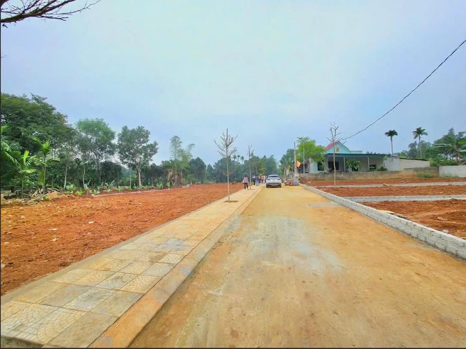 Đất Thọ Phú Triệu Sơn 135m² giá chỉ 200 triệu - Sổ hồng chính chủ!