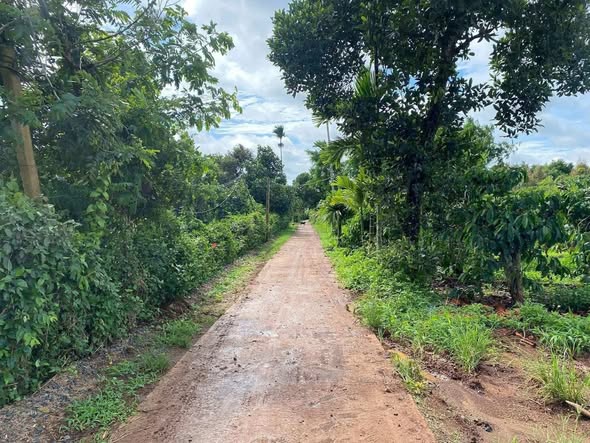 Đất nền Phú Xuân 500m² giá 200 triệu - Cơ hội đầu tư hấp dẫn!