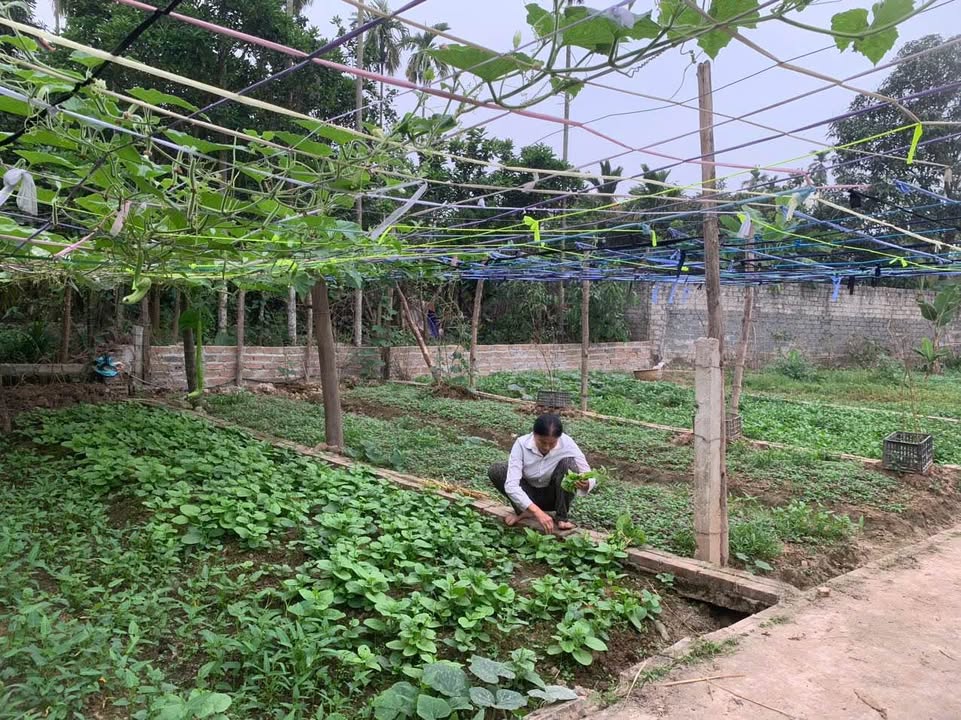 Đất nền Tích Giang 41m² giá thỏa thuận - Vị trí siêu đẹp gần chợ!