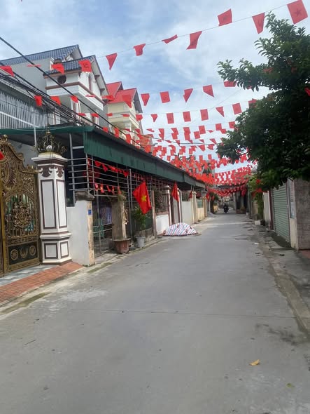 Đất nền Gia Lộc 99.3m² giá 2 tỷ - Vị trí chiến lược, đầu tư sinh lời!