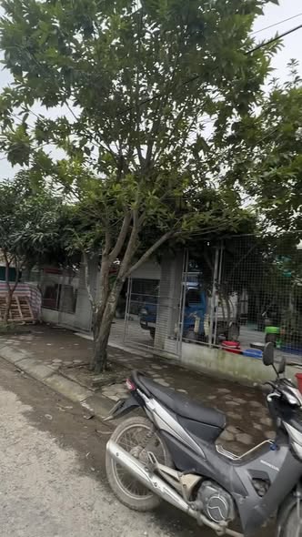 Đất nền Lê Hồ Kim Bảng 114m² giá chỉ 3 triệu - Cơ hội đầu tư tuyệt vời!