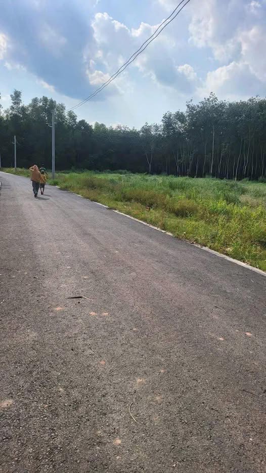 Đất thổ cư mặt tiền nhựa Long Hòa, Dầu Tiếng 210m² giá chỉ 500 triệu - Sổ đỏ chính chủ!