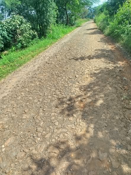 Farm thôn 7, xã Ea Khal 30.000m² giá thỏa thuận - Đầu tư sinh lời bền vững!