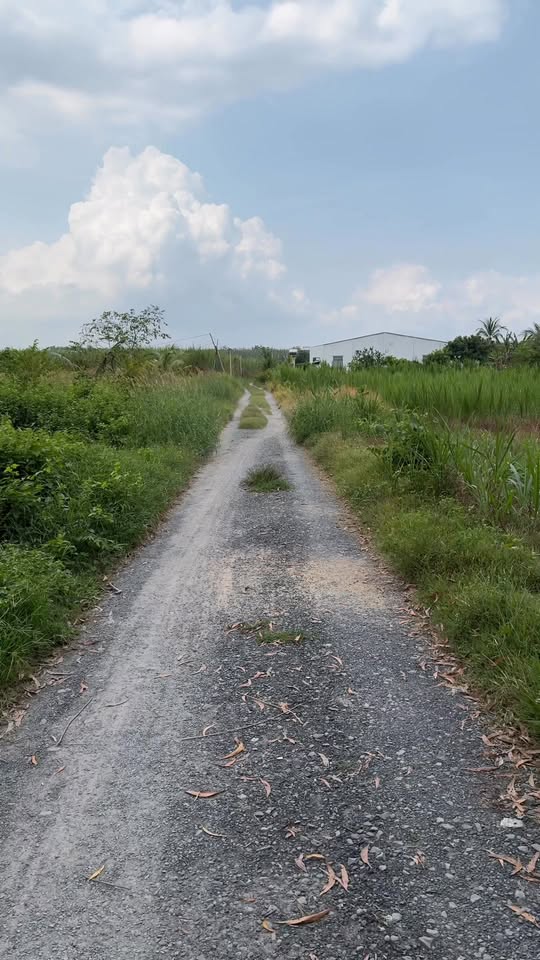 Đất Phước Thạnh Gò Dầu 1344m² giá 8.664 tỷ - Đầu tư sinh lời ngay!