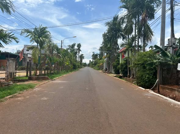 Đất mặt tiền đường Nhựa 8KC, phường Tân An, 265m² chỉ 1.19 tỷ - Đầu tư sinh lời!