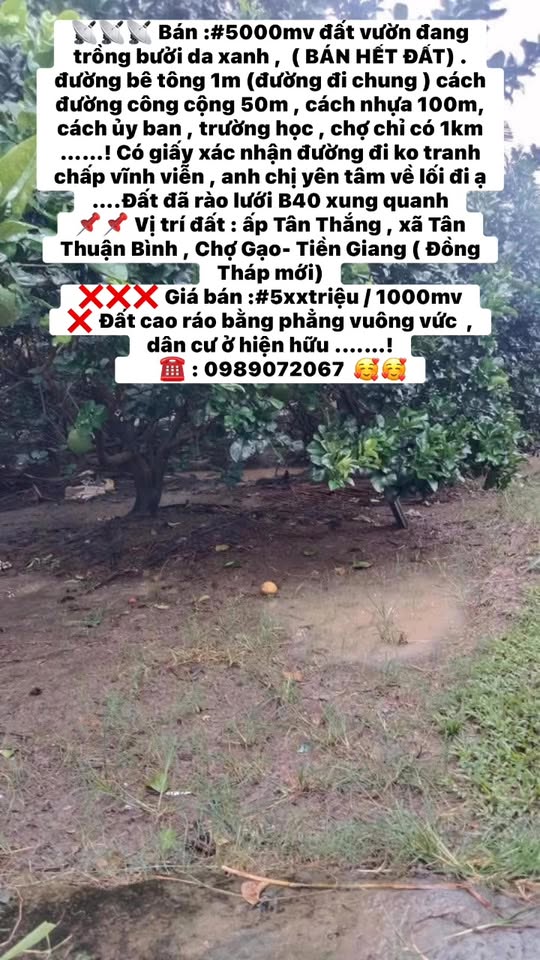 Đất vườn 5000m² tại ấp Tân Thắng, Tiền Giang - Giá chỉ 500 triệu!