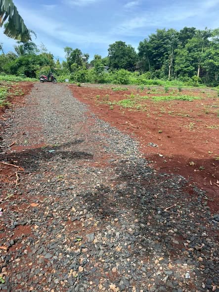 Đất thổ cư Cư Suê 275m² giá 550 triệu - Lô góc 2 mặt tiền hiếm có!