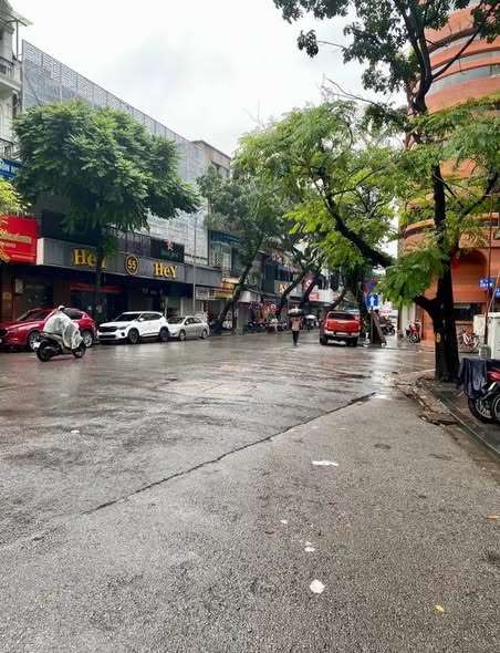 FrontHouse Hàng Bông 124m² giá 156 tỷ - Đầu tư bền vững!