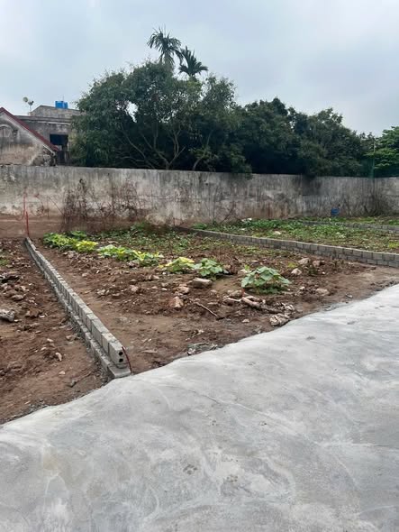 Đất nền Hồng Châu, Hưng Yên 71m² giá chỉ 1 tỷ - Cơ hội vàng cho nhà đầu tư!