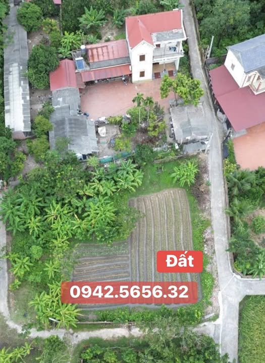 Đất nền phường Tân Tiến Yên Dũng 75m² giá 500 triệu - Cơ hội đầu tư hiếm có!