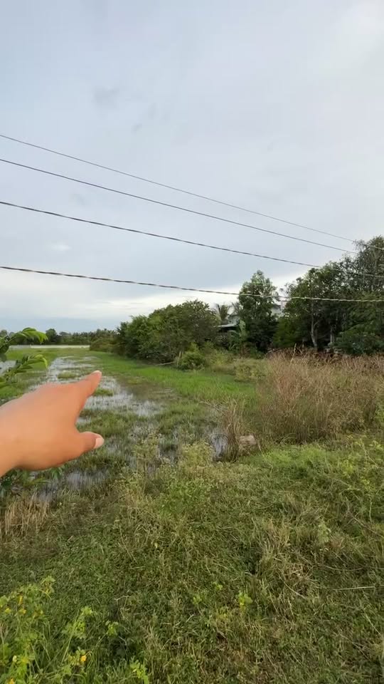 Đất nền Bến Cầu Tây Ninh 348m² giá 370 triệu - Đầu tư sinh lời ngay!